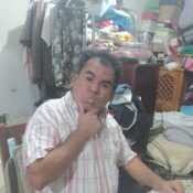 elgran661