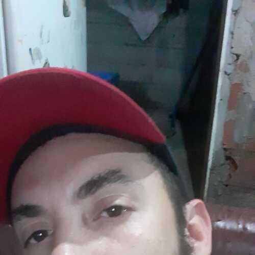 goncalvesferna564