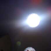 felipi2010