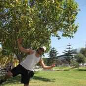 harryAyal