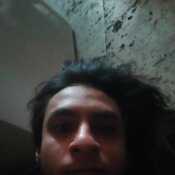 hidal498