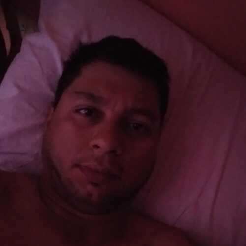 pisi449