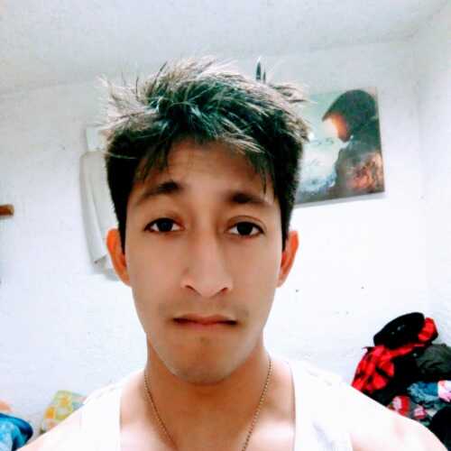 alfatr248