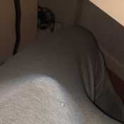 ptopa259