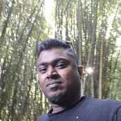 Shiv