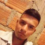davidfelipecampozap448