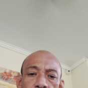 gaf317