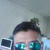 Alfredd01