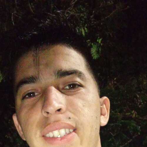 brunoinsf711