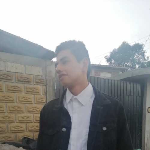 Bruno cnd