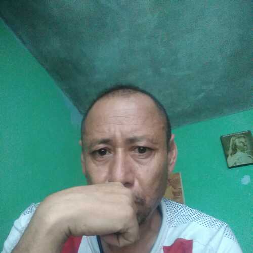 rebeld331