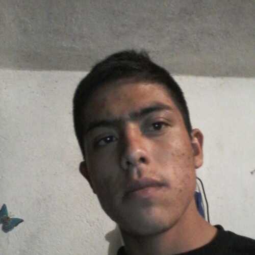 Orlandosanti688