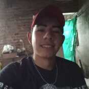 saulcich853