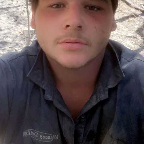 Harvey123