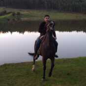 hernan419