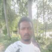 Dipok11