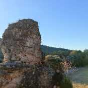 abdelGadir