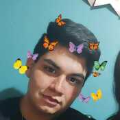 Gusr19