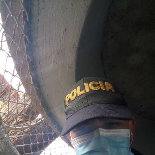 maicoltorr123