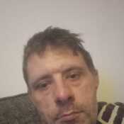 Kinggibbo 