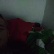 wilna530