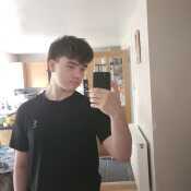 Bensteves