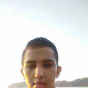 Alexv7229