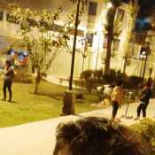 fabri277