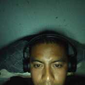 sce491