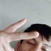 loorlil024
