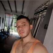 willydeos