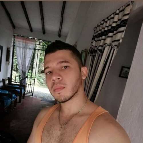 willydeos