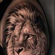 Alhaz