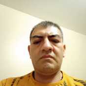 calbamig446