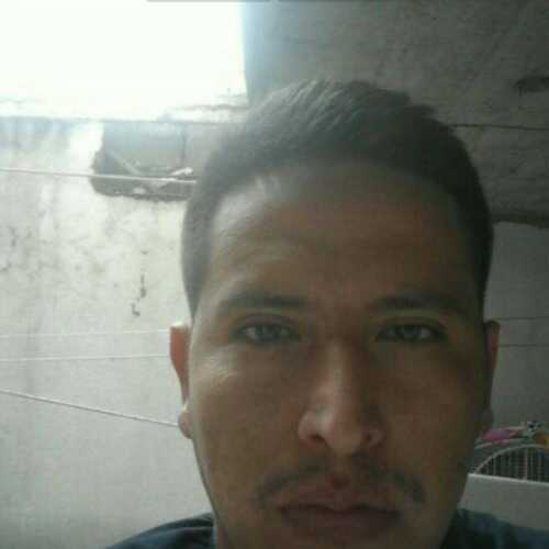 fraynesal181