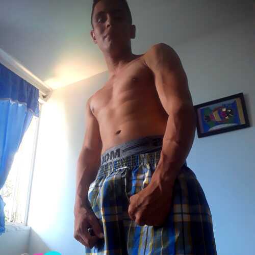 Pitolozada