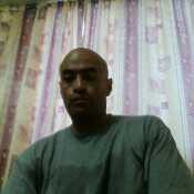 eehe533