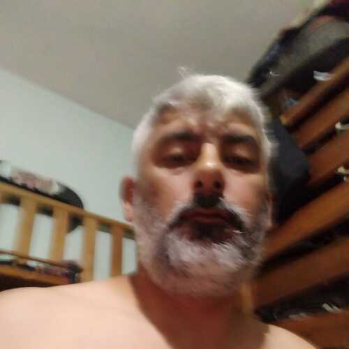 martinrein744