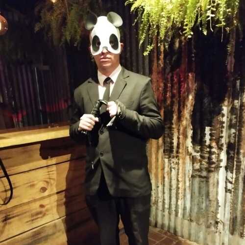 Panda