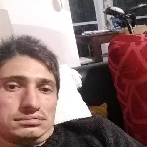 Pato