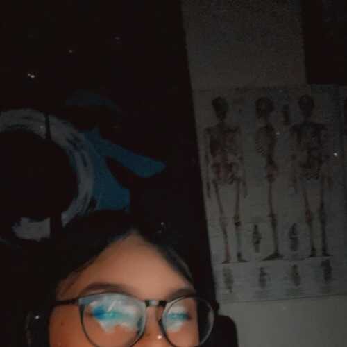 maddienich602
