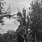joeltnt