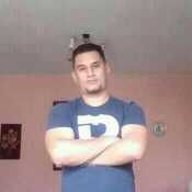 arex228