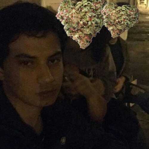 LeonardoMD