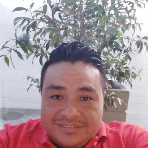 Gordo36bi