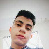 adanchever846