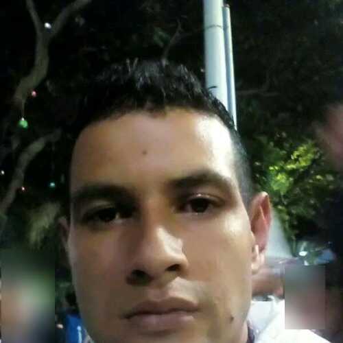 andressa780