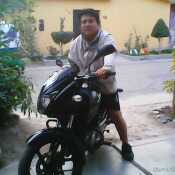solitario3181