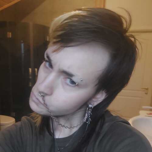 MarkDog