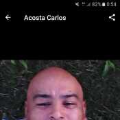 cracosta